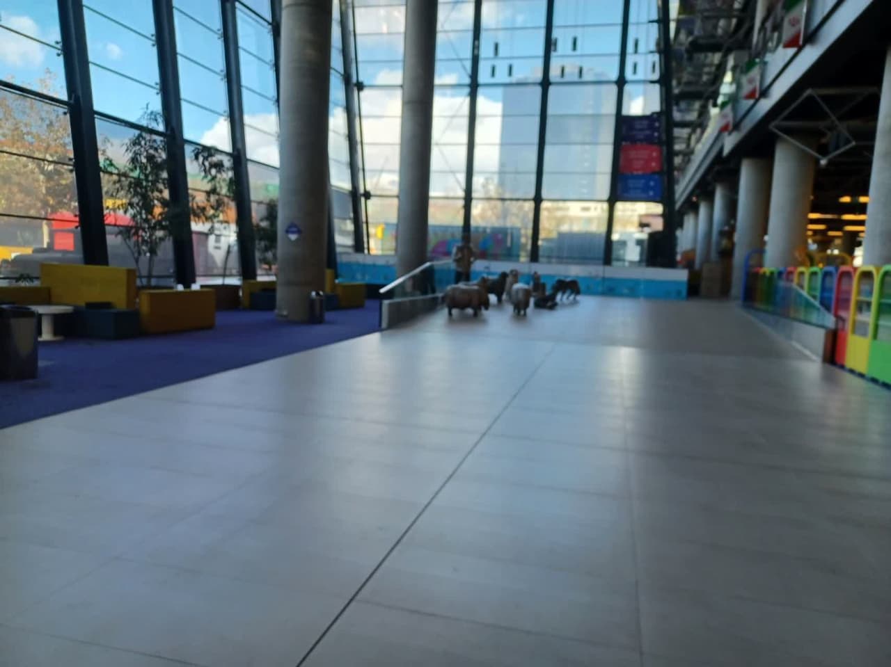 برگزاری اردوی باغ موزه و باغ کتاب