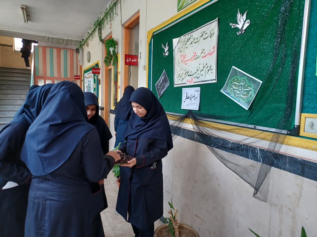 تصویر مقاله