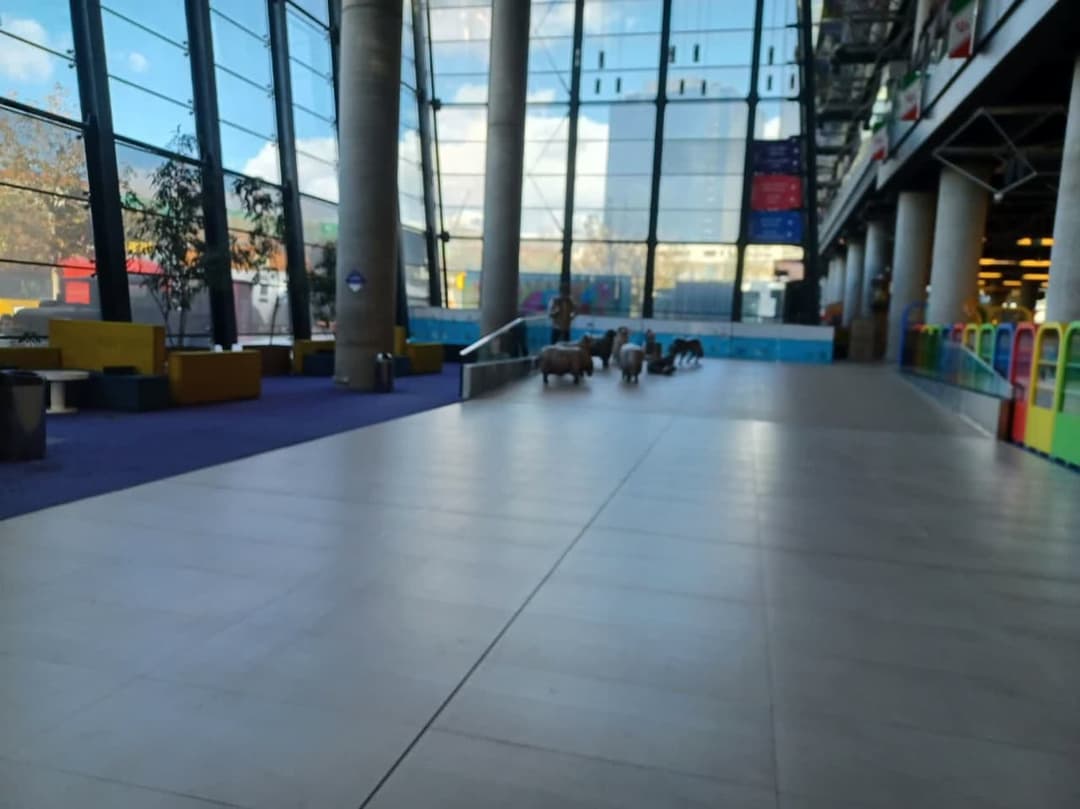 تصویر مقاله